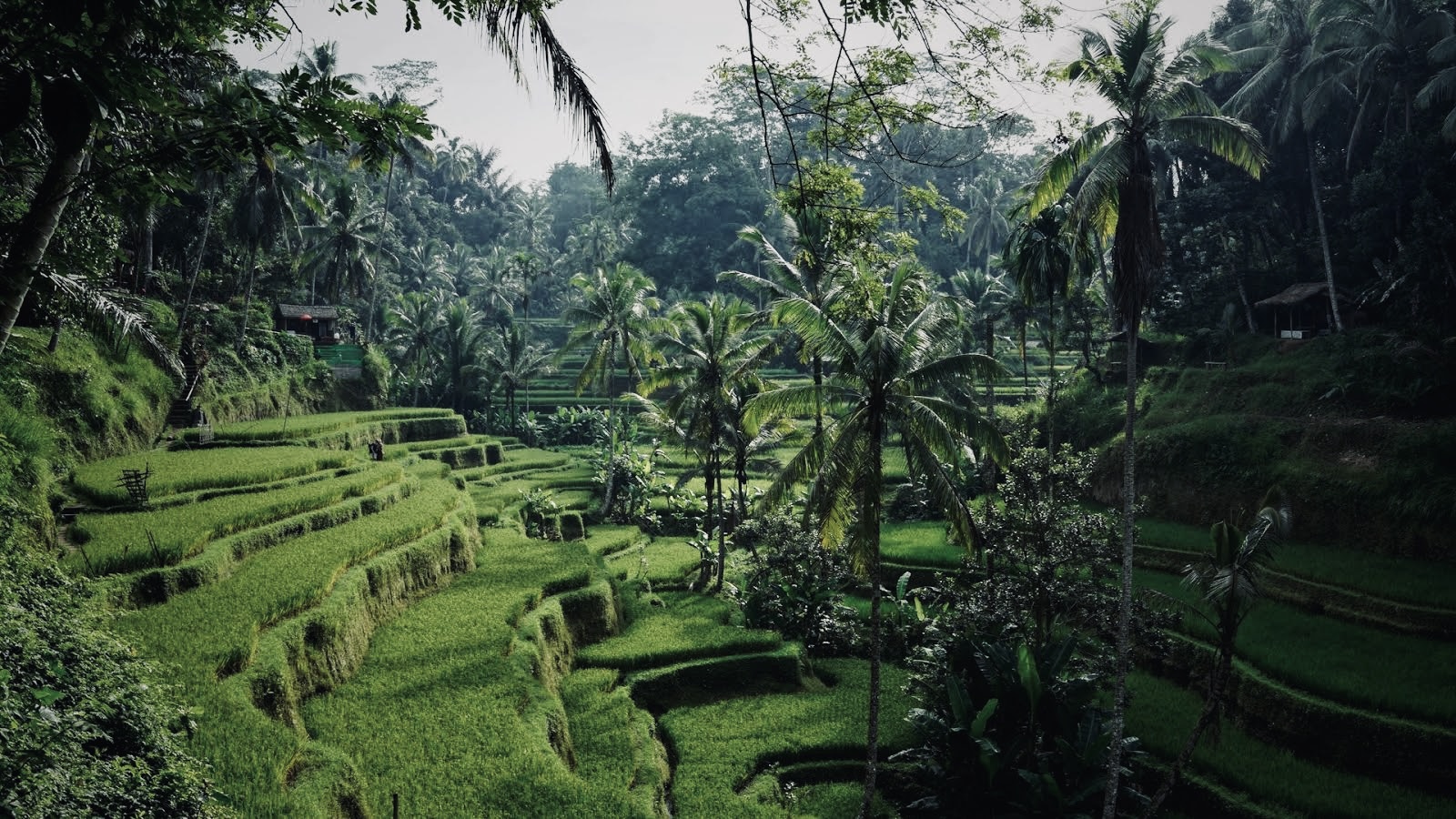 Bali